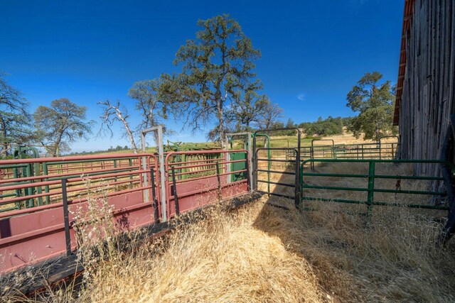 view of yard with a rural view