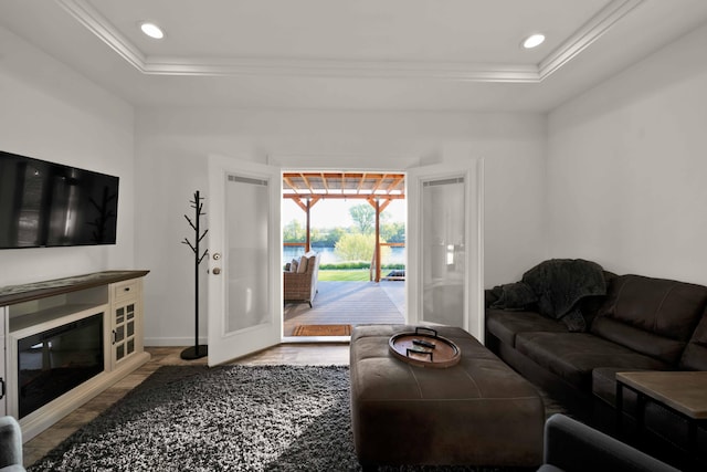 living room with hardwood / wood-style flooring and a raised ceiling