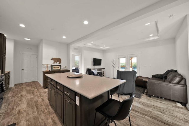 kitchen featuring light hardwood / wood-style floors, a center island, french doors, and a tray ceiling