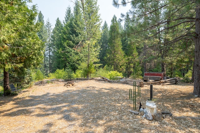 view of yard featuring a wooded view