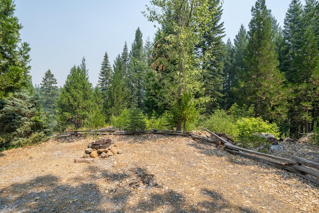 view of local wilderness with a wooded view