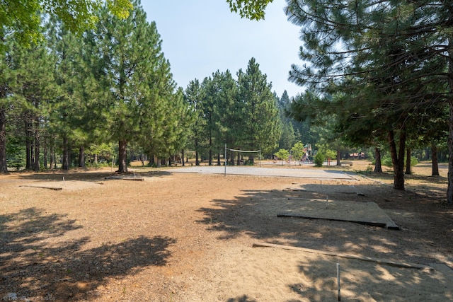 surrounding community with volleyball court