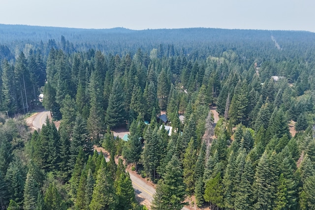 aerial view with a forest view