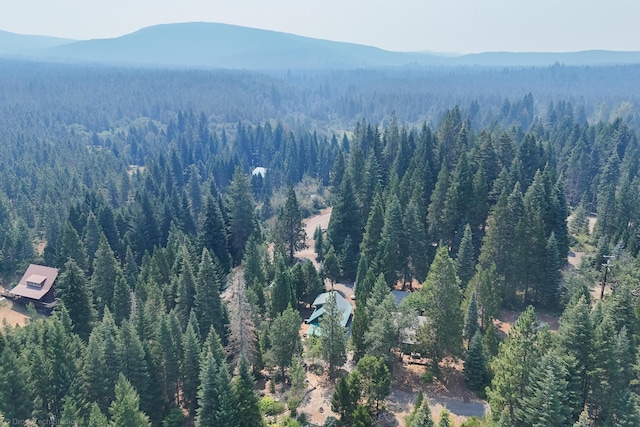 drone / aerial view featuring a mountain view and a view of trees