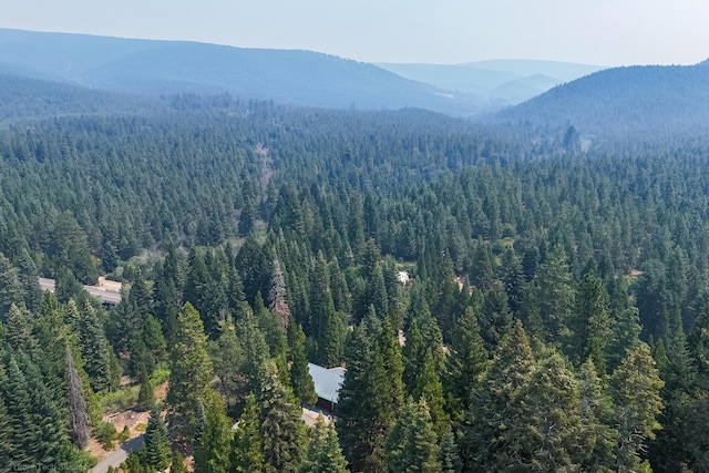 view of mountain feature featuring a view of trees