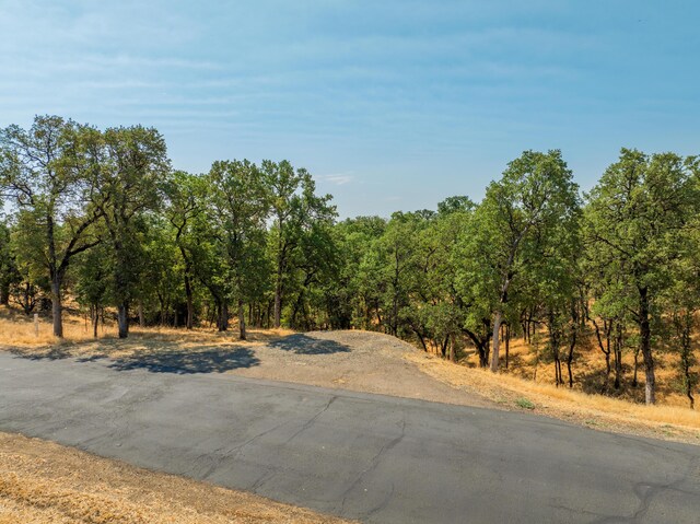 Listing photo 3 for Knotting Hill Rd, Palo Cedro CA 96073