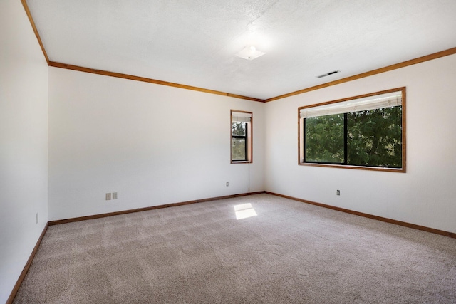 spare room with carpet and ornamental molding