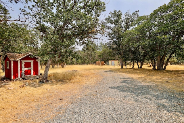 view of yard with a shed