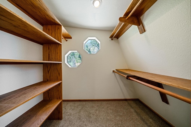 spacious closet featuring carpet