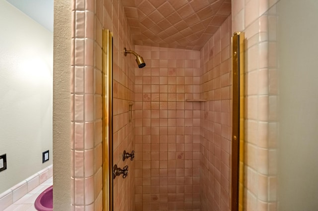 bathroom with tiled shower