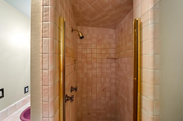 bathroom with a stall shower