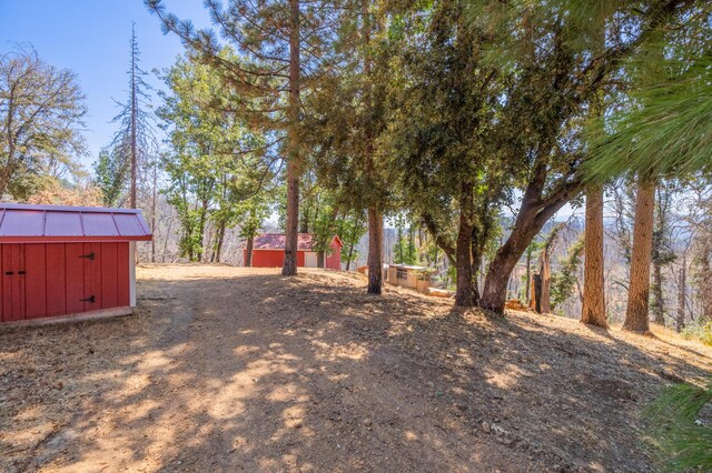 view of yard with a storage unit