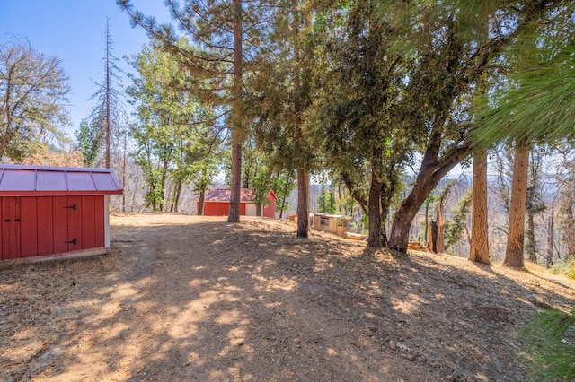 view of yard featuring an outbuilding and a shed