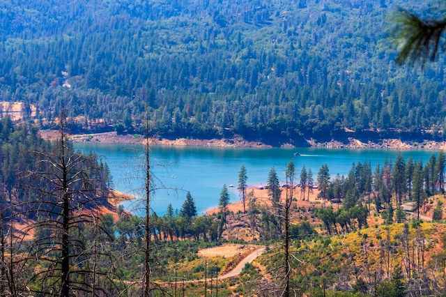 property view of water featuring a view of trees