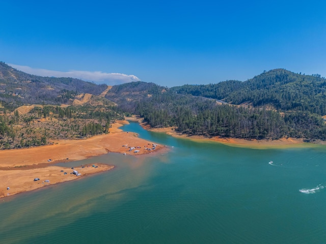 bird's eye view with a view of trees and a water and mountain view