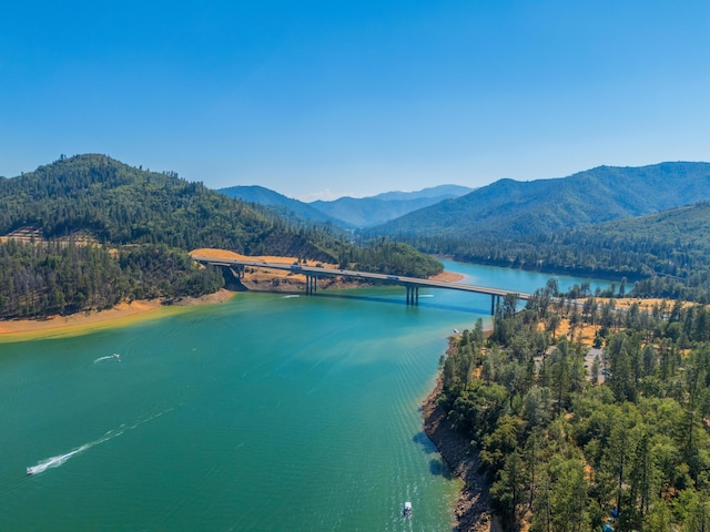 drone / aerial view with a water and mountain view and a view of trees