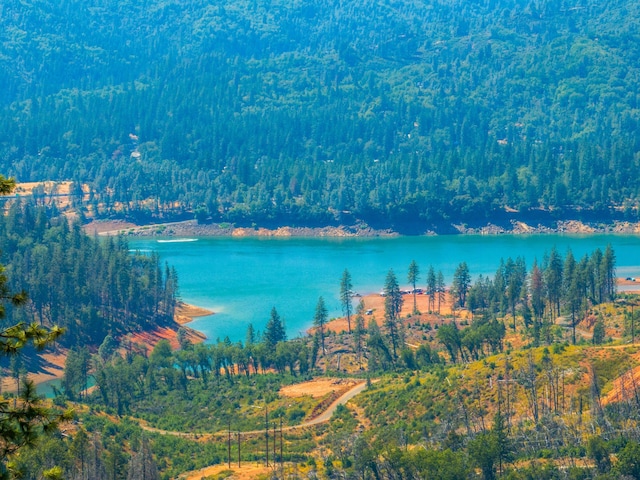 property view of water with a wooded view