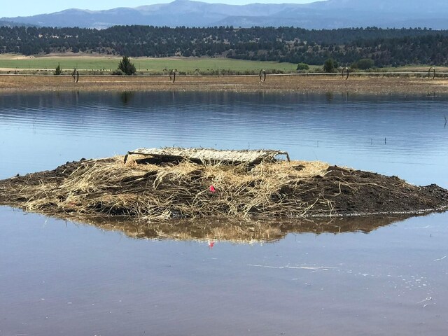 property view of water featuring a mountain view