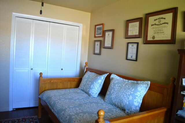 bedroom featuring dark hardwood / wood-style flooring and a closet