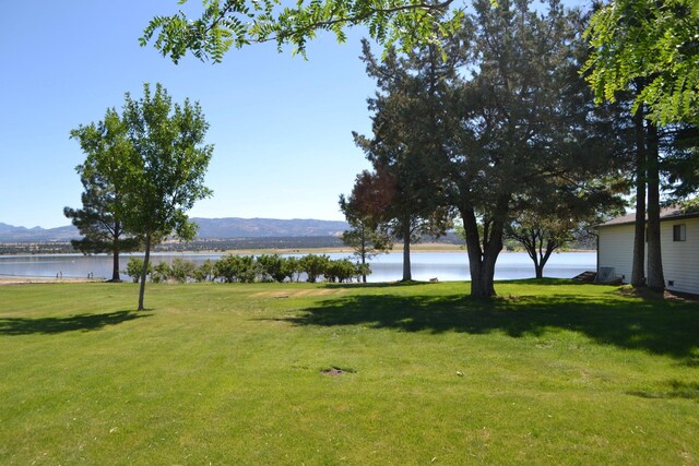 view of yard featuring a water and mountain view