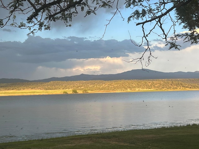 view of water feature featuring a mountain view