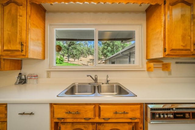 kitchen with dishwasher and sink