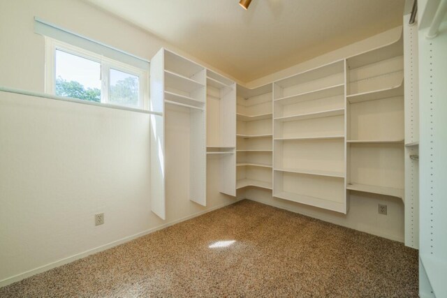 walk in closet featuring carpet flooring