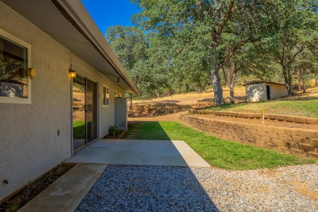 view of yard with a patio and a storage unit