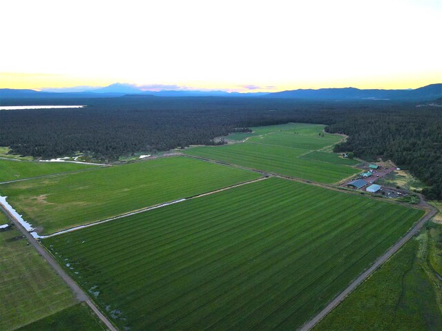 aerial view at dusk with a rural view