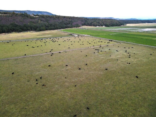 birds eye view of property with a rural view