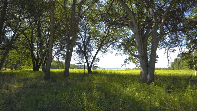 view of nature