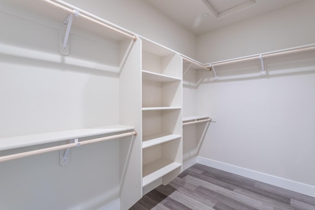 spacious closet featuring dark hardwood / wood-style floors