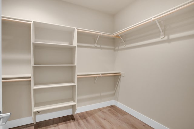 spacious closet with hardwood / wood-style floors