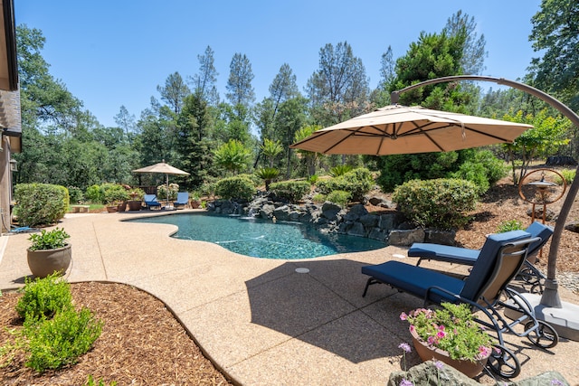 view of swimming pool featuring a patio