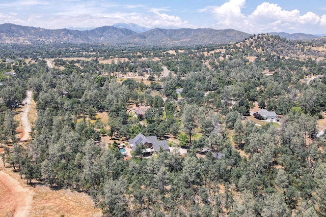 bird's eye view with a mountain view