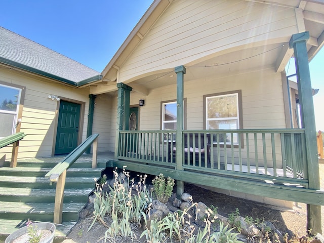 entrance to property with a porch and roof with shingles