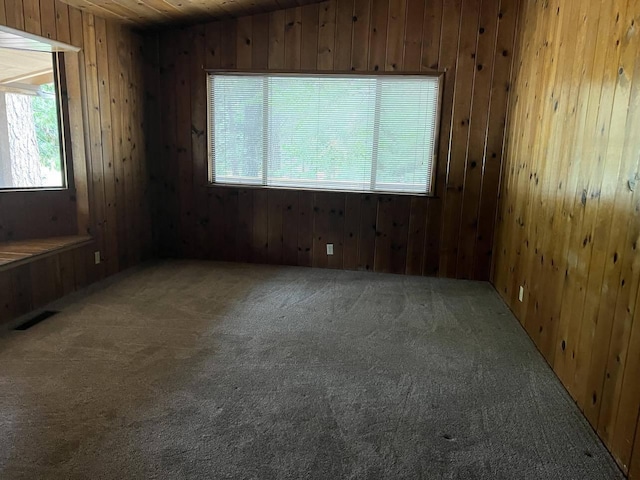 spare room with wood walls and carpet floors