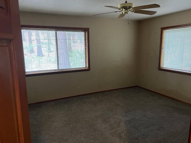 empty room featuring ceiling fan and carpet