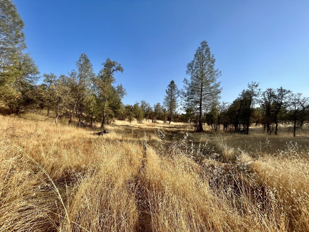 LOT10 Neal Ln, Redding, CA 96003 - photo 3