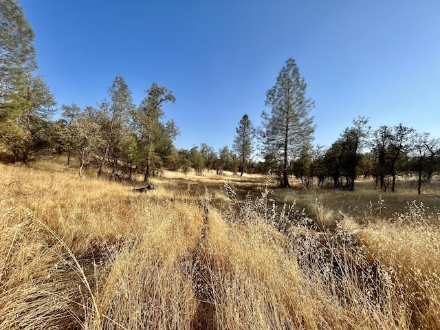 Listing photo 3 for LOT10 Neal Ln, Redding CA 96003