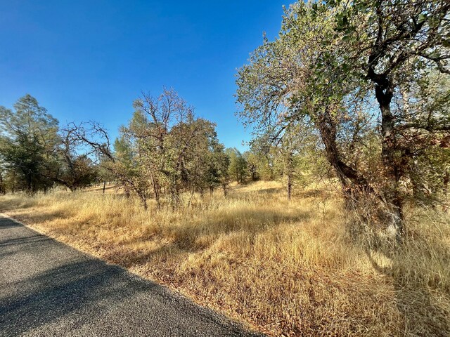 LOT10 Neal Ln, Redding, CA 96003 - photo 4