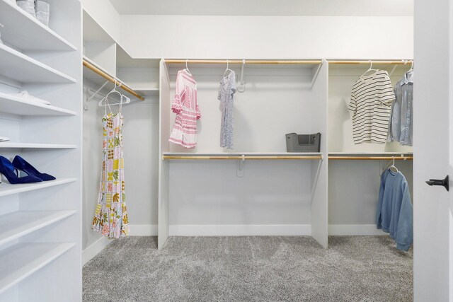 spacious closet featuring carpet flooring