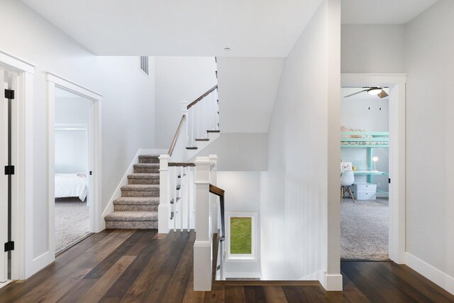 stairs with ceiling fan and wood-type flooring