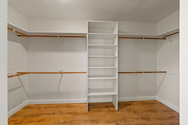 spacious closet with hardwood / wood-style flooring