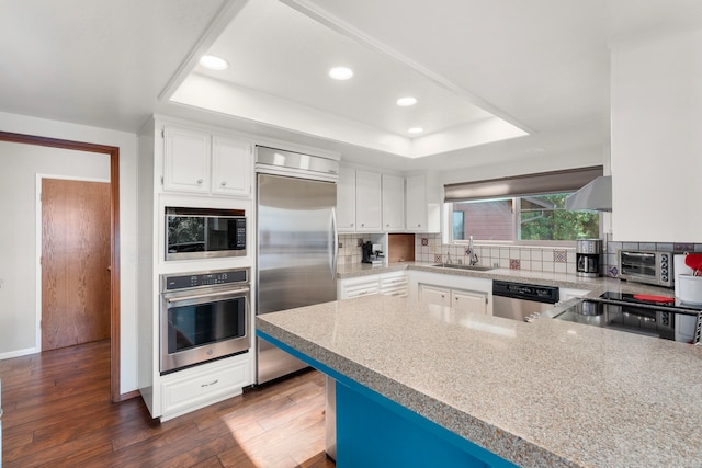 kitchen with a tray ceiling, decorative backsplash, built in appliances, and dark hardwood / wood-style floors