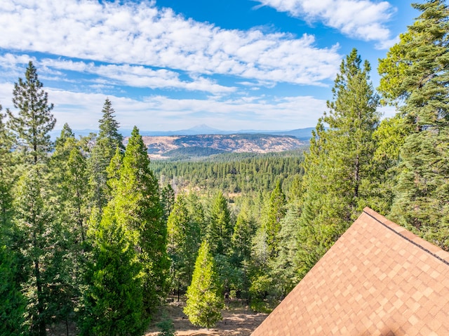 view of mountain feature