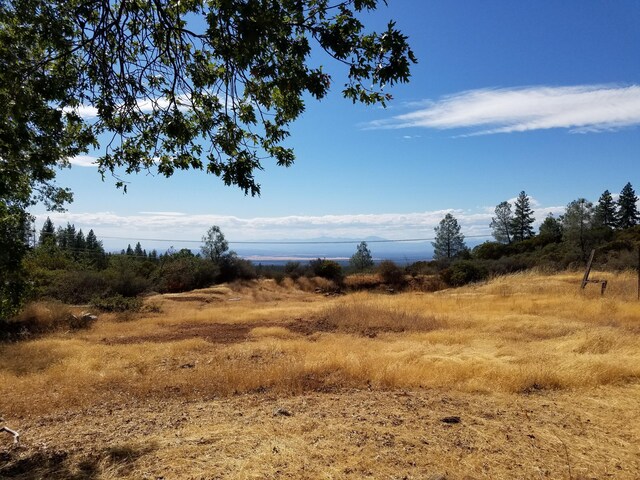 7414 Albers Forest Dr, Shingletown, CA 96088 - view of landscape