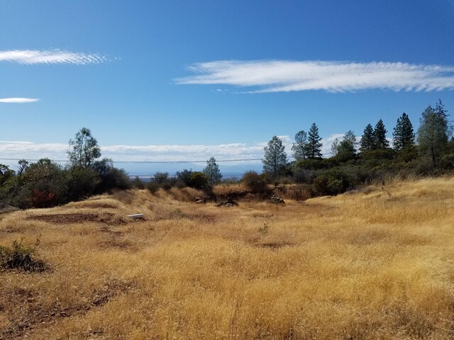 view of local wilderness