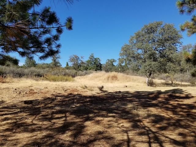 7414 Albers Forest Dr, Shingletown, CA 96088 - view of landscape