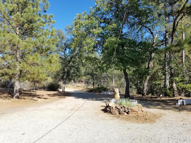 7414 Albers Forest Dr, Shingletown, CA 96088 - view of street